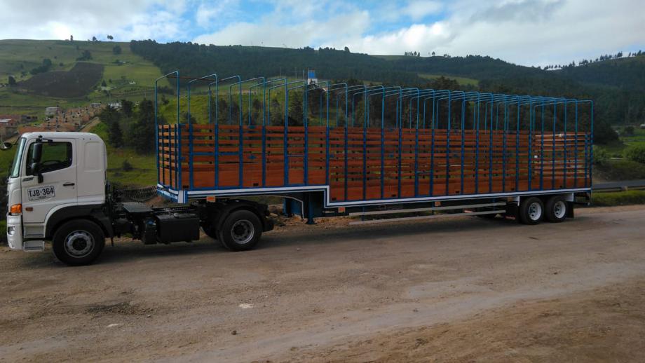 Transporte en Patineta de 2 ejes  en Warnes, Santa Cruz, Bolivia